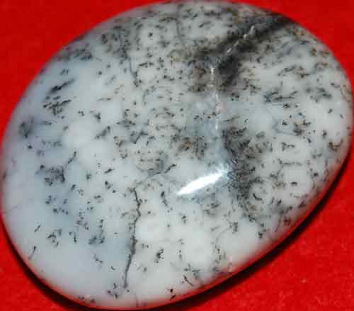 Dendritic Agate Palm Stone #3