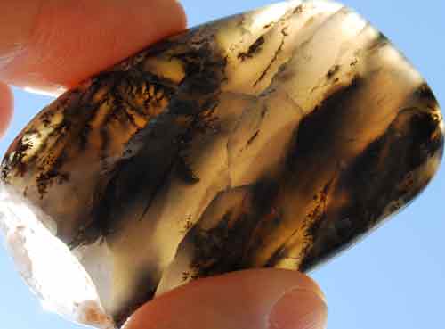 Dendritic Opal Palm Stone #4
