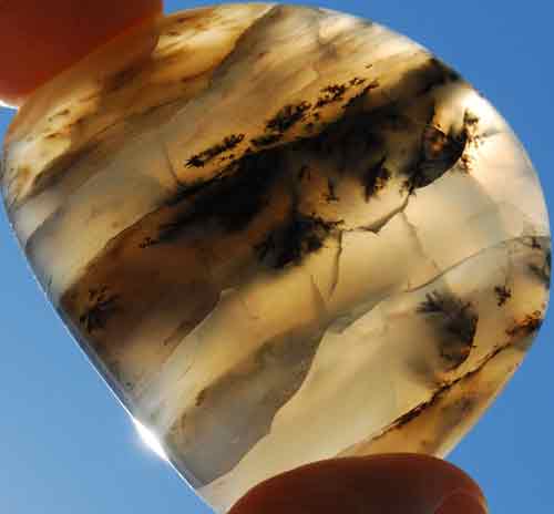 Dendritic Opal Palm Stone #5