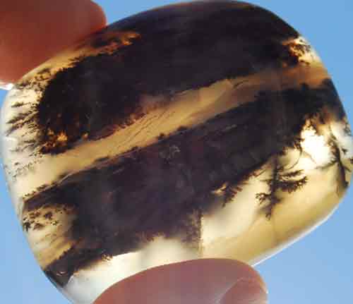 Dendritic Opal Palm Stone #8