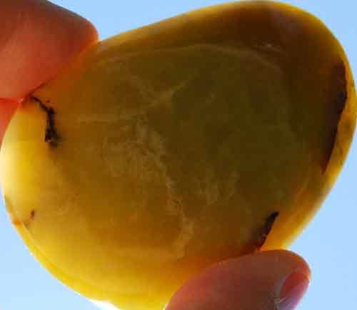 Gemmy Green Opal Palm Stone #2