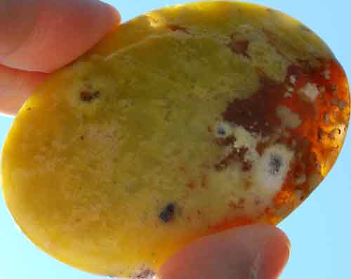 Gemmy Green Opal Palm Stone #5