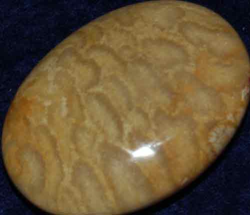 Fossil Coral Soap-Shaped Palm Stone #4
