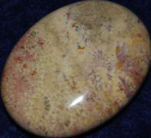 Fossil Coral Soap-Shaped Palm Stone #5