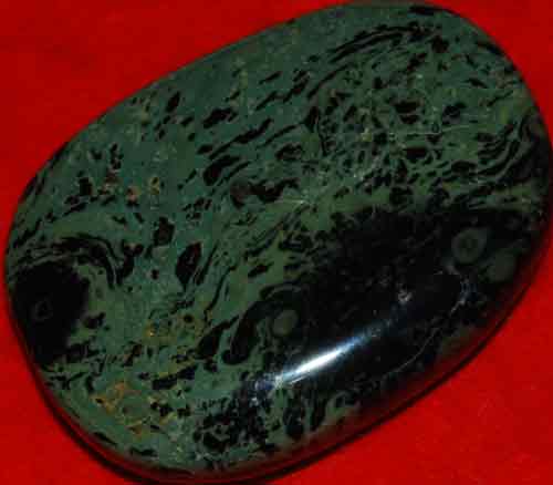 Kambaba Jasper Stromatolite Palm Stone #10