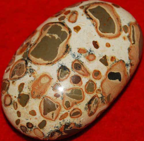 Leopardskin Rhyolite/Jasper Soap-Shaped Palm Stone #1