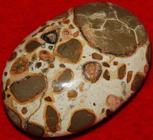 Leopardskin Rhyolite/Jasper Soap-Shaped Palm Stone #21