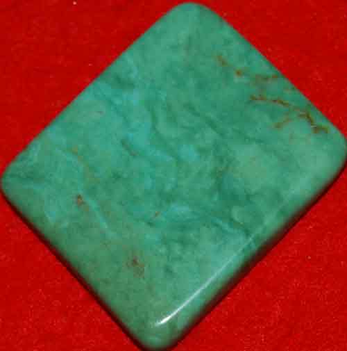 Mexican Green Turquoise Palm Stone #10