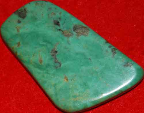 Mexican Green Turquoise Palm Stone #16