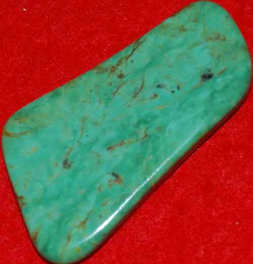 Mexican Green Turquoise Palm Stone #19