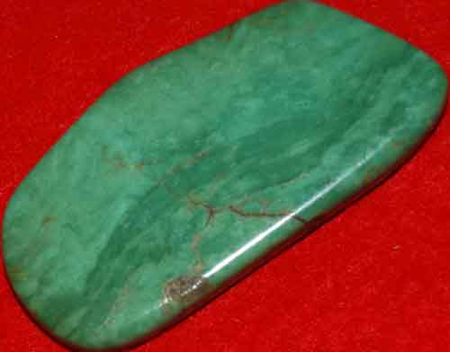 Mexican Green Turquoise Palm Stone #20