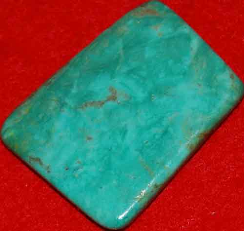 Mexican Green Turquoise Palm Stone #21