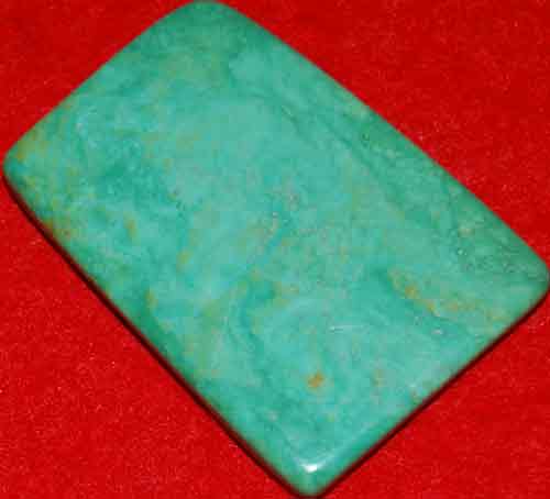 Mexican Green Turquoise Palm Stone #22