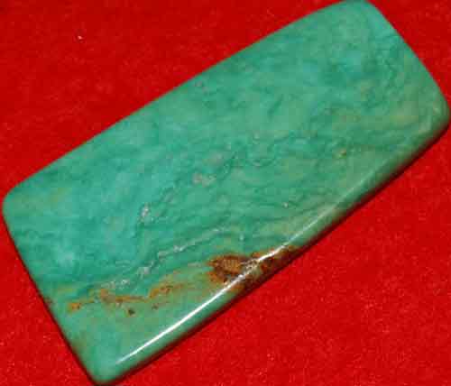 Mexican Green Turquoise Palm Stone #24