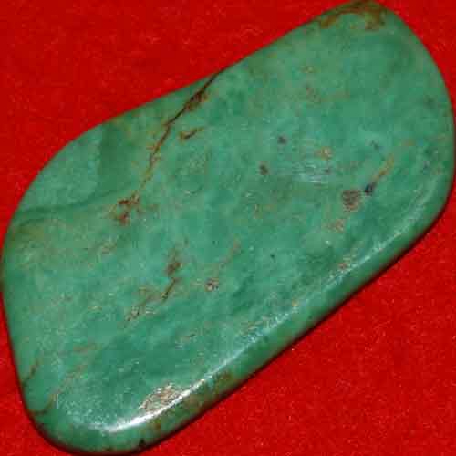 Mexican Green Turquoise Palm Stone #25