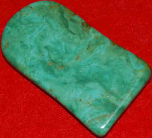 Mexican Green Turquoise Palm Stone #26