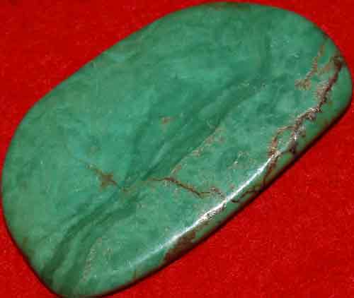 Mexican Green Turquoise Palm Stone #31
