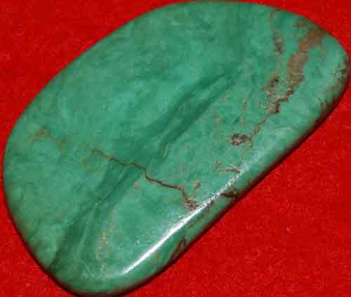 Mexican Green Turquoise Palm Stone #37