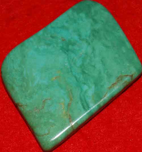 Mexican Green Turquoise Palm Stone #38