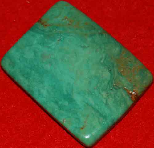 Mexican Green Turquoise Palm Stone #40