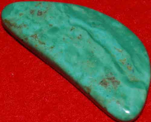 Mexican Green Turquoise Palm Stone #5