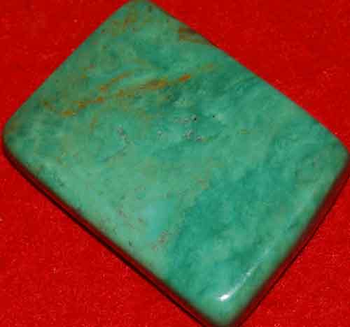 Mexican Green Turquoise Palm Stone #6