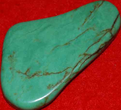 Mexican Green Turquoise Palm Stone #8