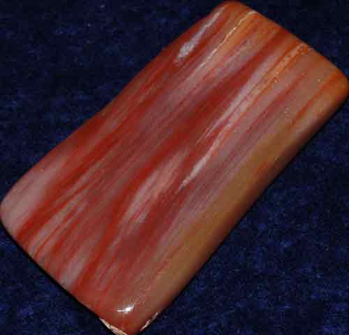 Petrified Wood Palm Stone #3