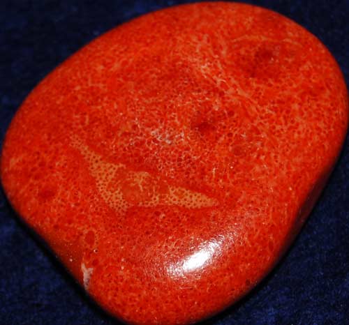 Red Coral Palm Stone #13