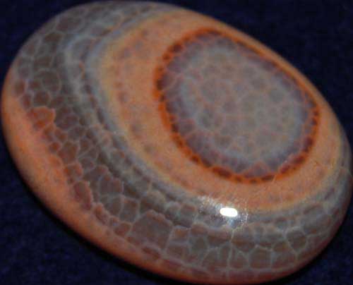 Snakeskin Agate Soap-Shaped Palm Stone #21
