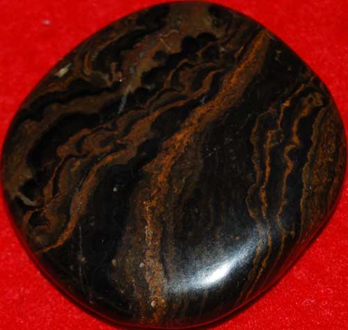 Stromatolite Palm Stone #8