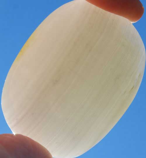 White Calcite Palm Stone #3