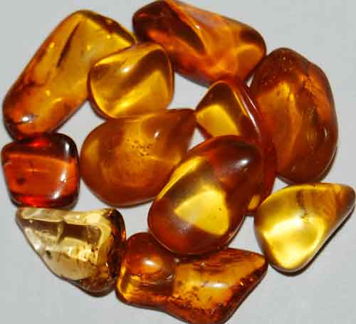 11 Baltic Amber Tumbled Stones #14