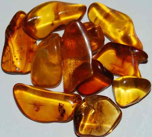 11 Baltic Amber Tumbled Stones #15