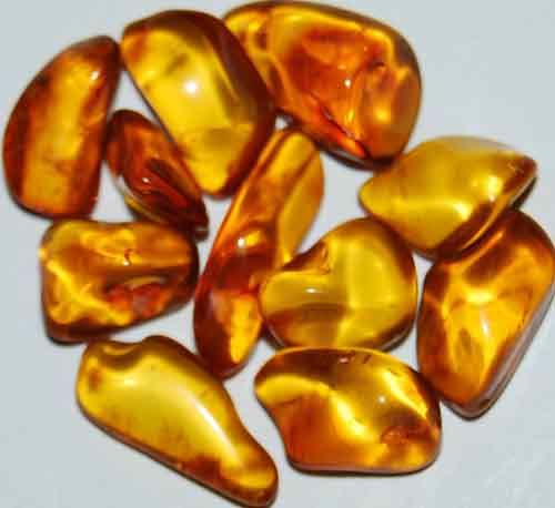 11 Baltic Amber Tumbled Stones #16