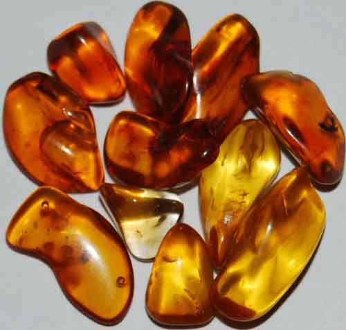 11 Baltic Amber Tumbled Stones #7