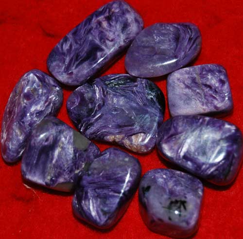 Nine Charoite Small AAA Tumbled Stones #5