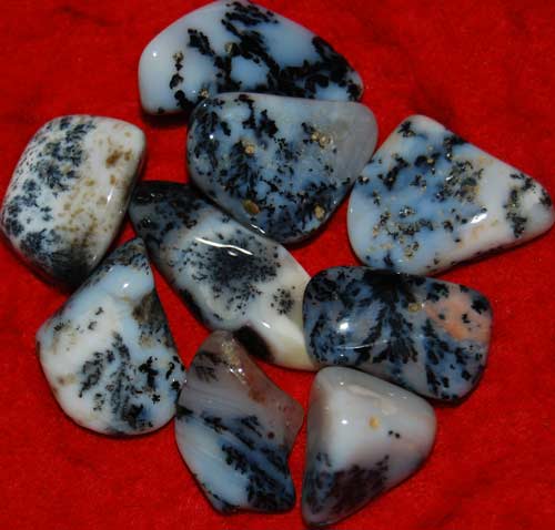 Nine Dendritic Agate Tumbled Stones #1
