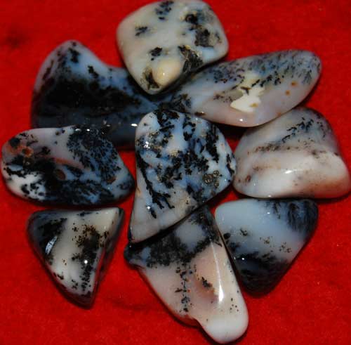 Nine Dendritic Agate Tumbled Stones #2
