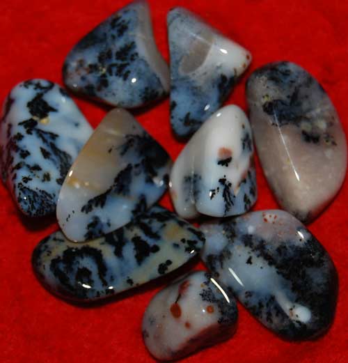 Nine Dendritic Agate Tumbled Stones #3