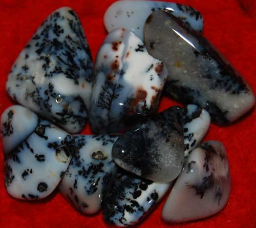 Nine Dendritic Agate Tumbled Stones #4