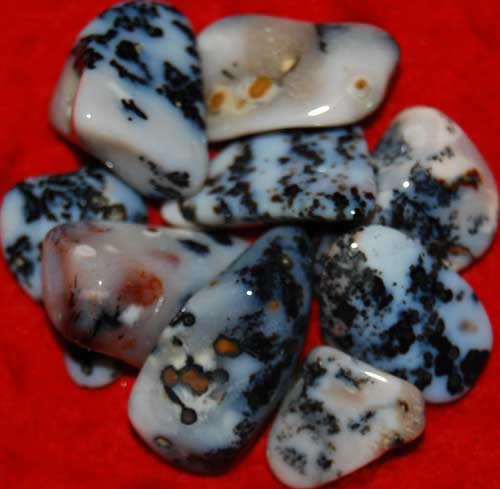 Nine Dendritic Agate Tumbled Stones #5