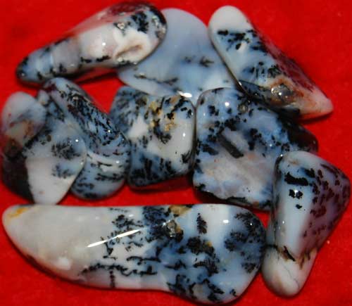 Nine Dendritic Agate Tumbled Stones #7