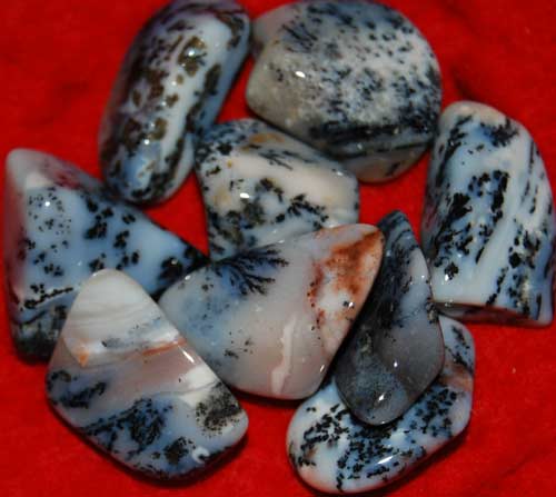 Nine Dendritic Agate Tumbled Stones #8