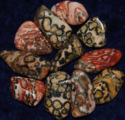 11 Leopardskin Rhyolite/Jasper Tumbled Stones #3