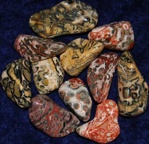 11 Leopardskin Rhyolite/Jasper Tumbled Stones #5
