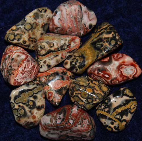 11 Leopardskin Rhyolite/Jasper Tumbled Stones #7