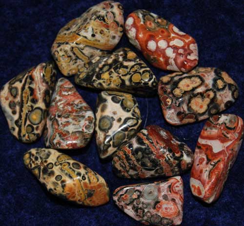 11 Leopardskin Rhyolite/Jasper Tumbled Stones #9