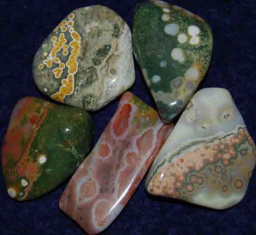 5 Ocean Jasper Tumbled Stones #17