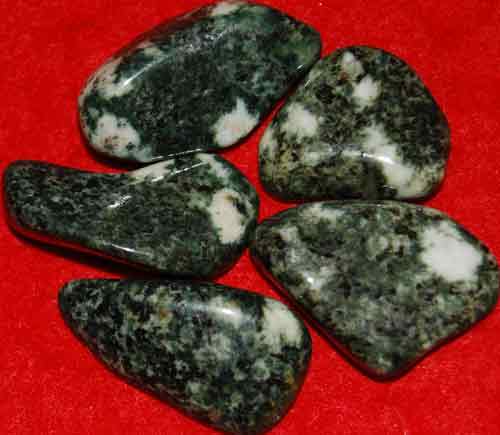 5 Preseli Bluestone (Stonehenge) Tumbled Stones #10
